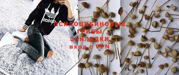 jwh Ельня
