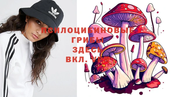 марки nbome Елабуга